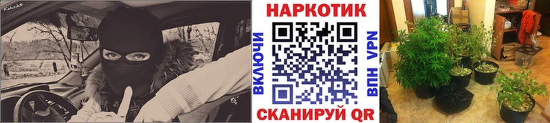 Где купить наркоту Алатырь Амфетамин  Альфа ПВП  Меф  Каннабис  ГАШИШ 