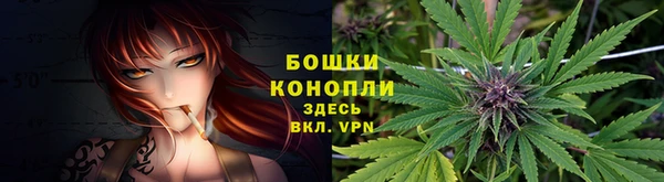 мдпв Приозерск