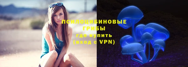 мдпв Приозерск