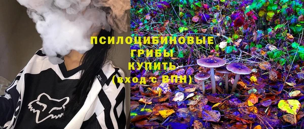 мдпв Приозерск
