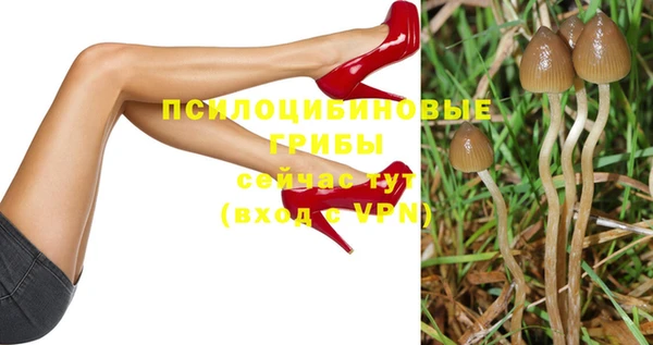 мдпв Приозерск