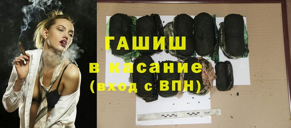 шишки Слюдянка