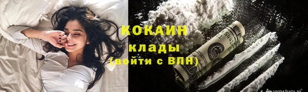 ГАЛЛЮЦИНОГЕННЫЕ ГРИБЫ Калининец
