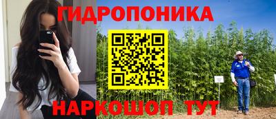 гашик Абинск