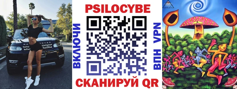 Псилоцибиновые грибы мицелий  kraken зеркало  Алатырь  купить закладку 