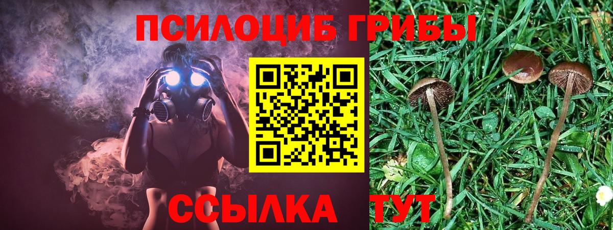 Псилоцибиновые грибы ЛСД  Вход с VPN  Алатырь 