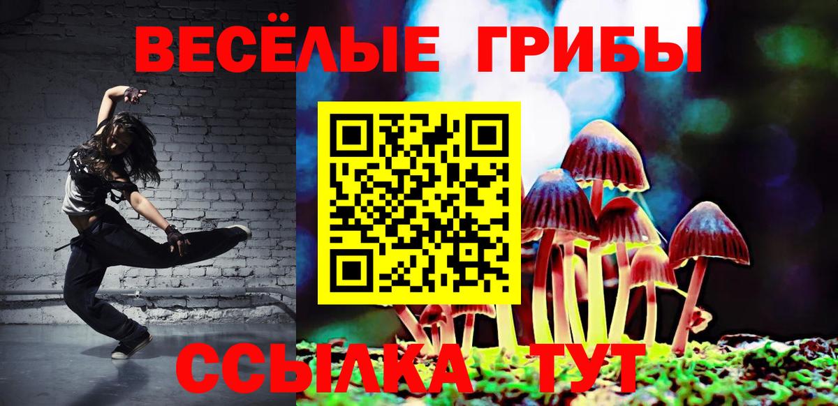 Псилоцибиновые грибы мицелий  Алатырь 