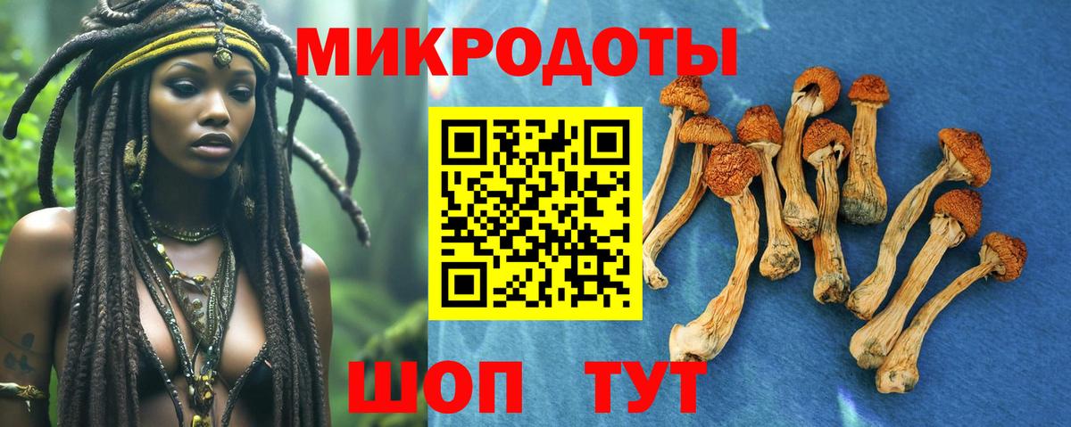 Галлюциногенные грибы прущие грибы Алатырь