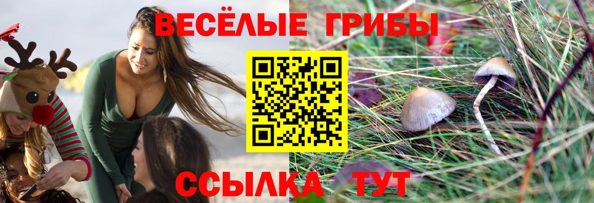 Алатырь  Галлюциногенные грибы ЛСД  Вход с VPN 